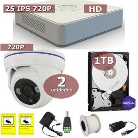 Kit videovigilancia HD-TVI 2 cámaras domo con disco duro de 1 TB especial videovigilancia Avantsec