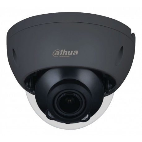 DH-IPC-HDBW3441RP-ZS-DG