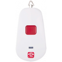 PNB1301