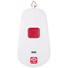 PNB1301