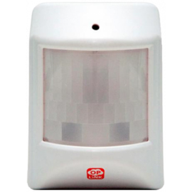 PIR1301