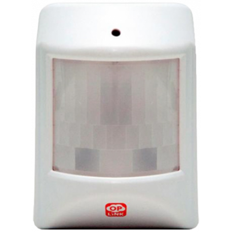 PIR1301