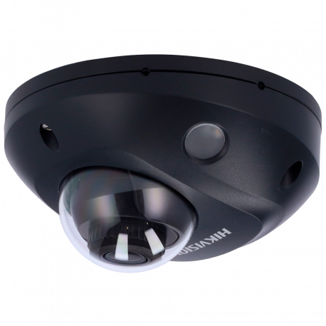 DS-2CD2543G2-LIS2U(2.8mm)/BLACK