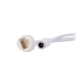 XS-IPD842A-6P-DL-WIZ