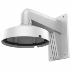 DS-1273ZJ-DM25(M1)