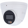 SF-T020-2B1-DL