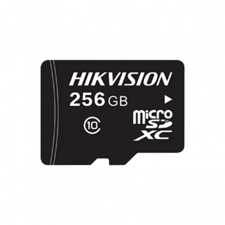 HS-TF-L2-256G