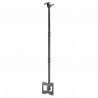 PLB-CE1022-01