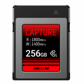 HS-CFE-E300STD/256G/CAPTURE/W