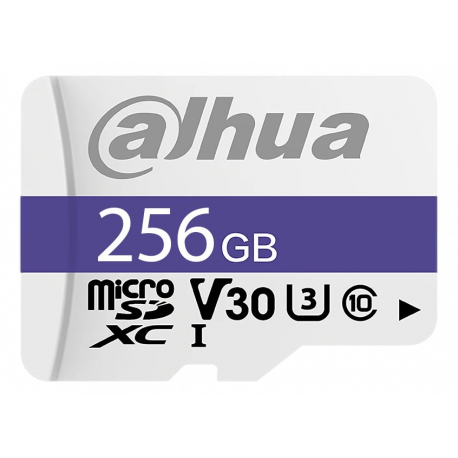 TF-P100/256GB