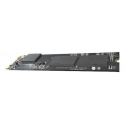HS-SSD-E100NI-256G-2280