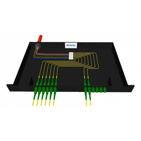P26000646