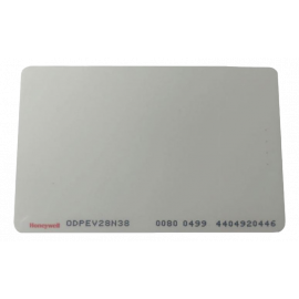 ODPEV28N38