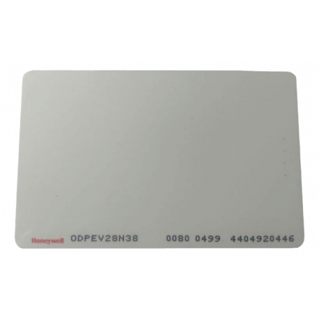 ODPEV28N38