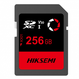 HS-SD-E30STD/256G/CAPTURE/W